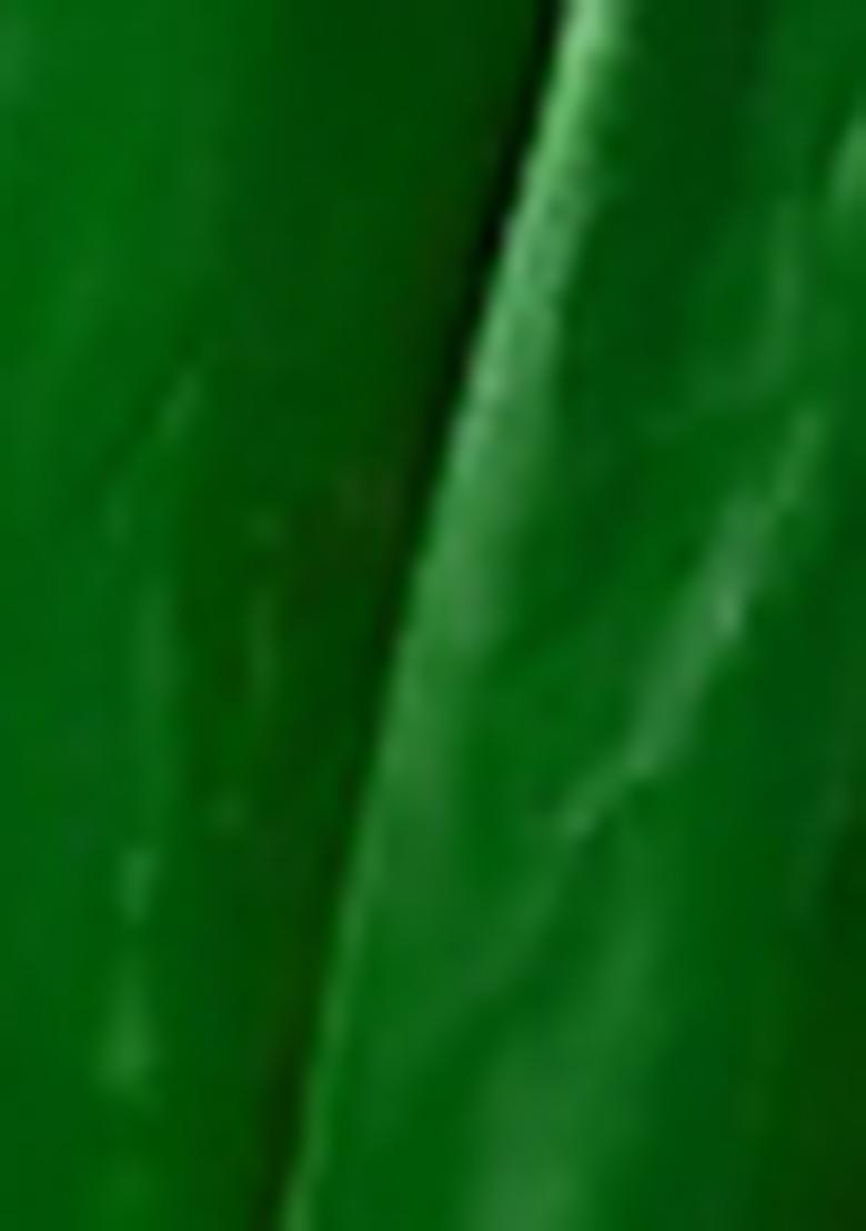 Green Lehenga Set With Hand Embroidered Blouse And Dupatta