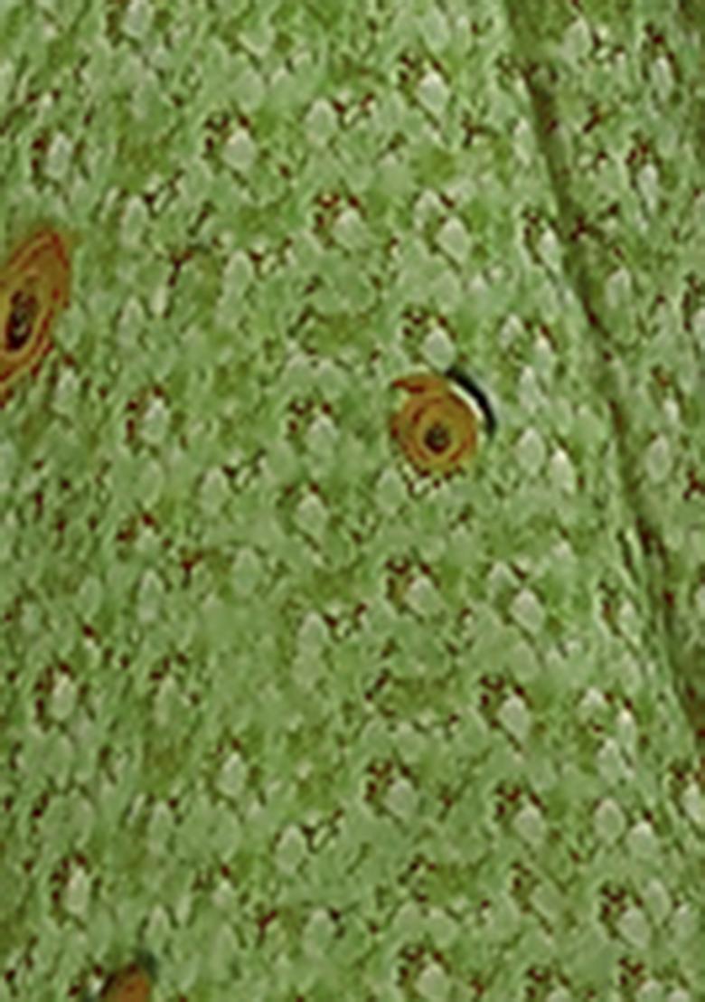 Green Lehenga Set With Hand Embroidered Blouse And Dupatta