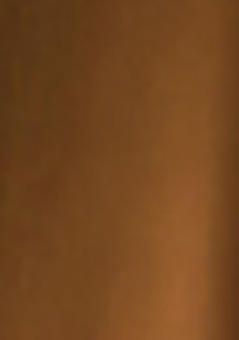 Brown Pre-Stitched Saree Set With Hand Embroidered Blouse