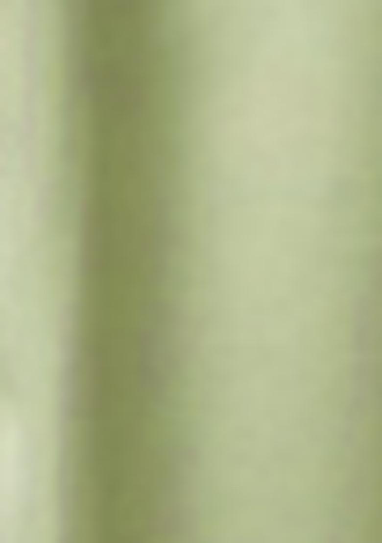 Mint Green Pre-Stitched Saree Set With Hand Embroidered Blouse