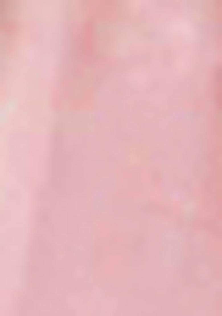 Peach Pre-Stitched Saree Set With Hand Embroidered Blouse