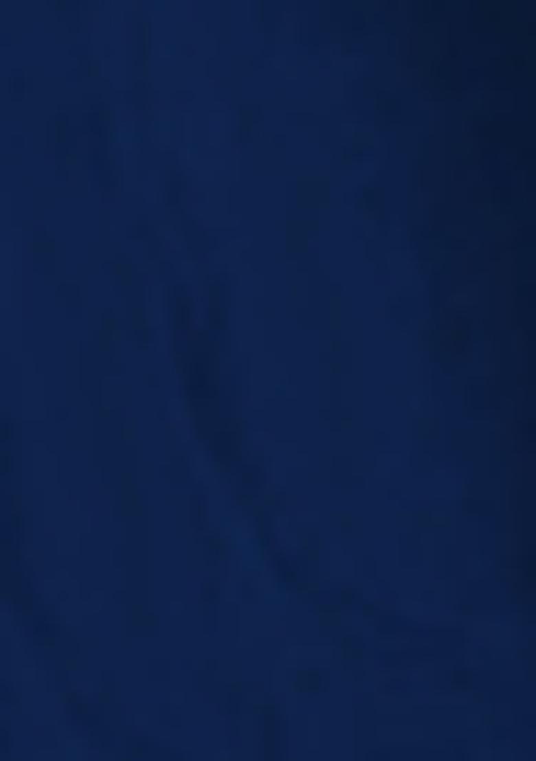 Navy Blue Pre-Stitched Saree Set With Hand Embroidered Blouse