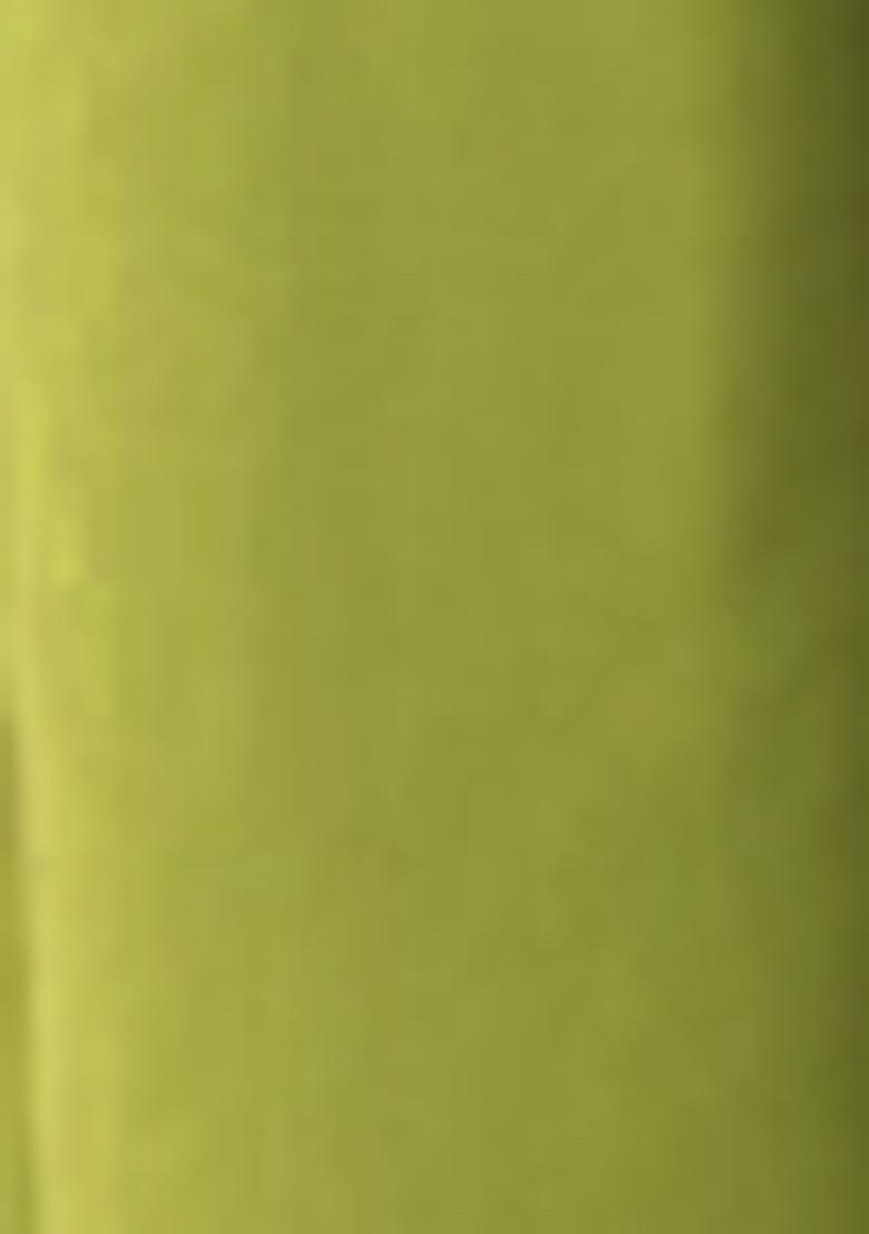 Olive Green Pre-Stitched Saree Set With Hand Embroidered Blouse