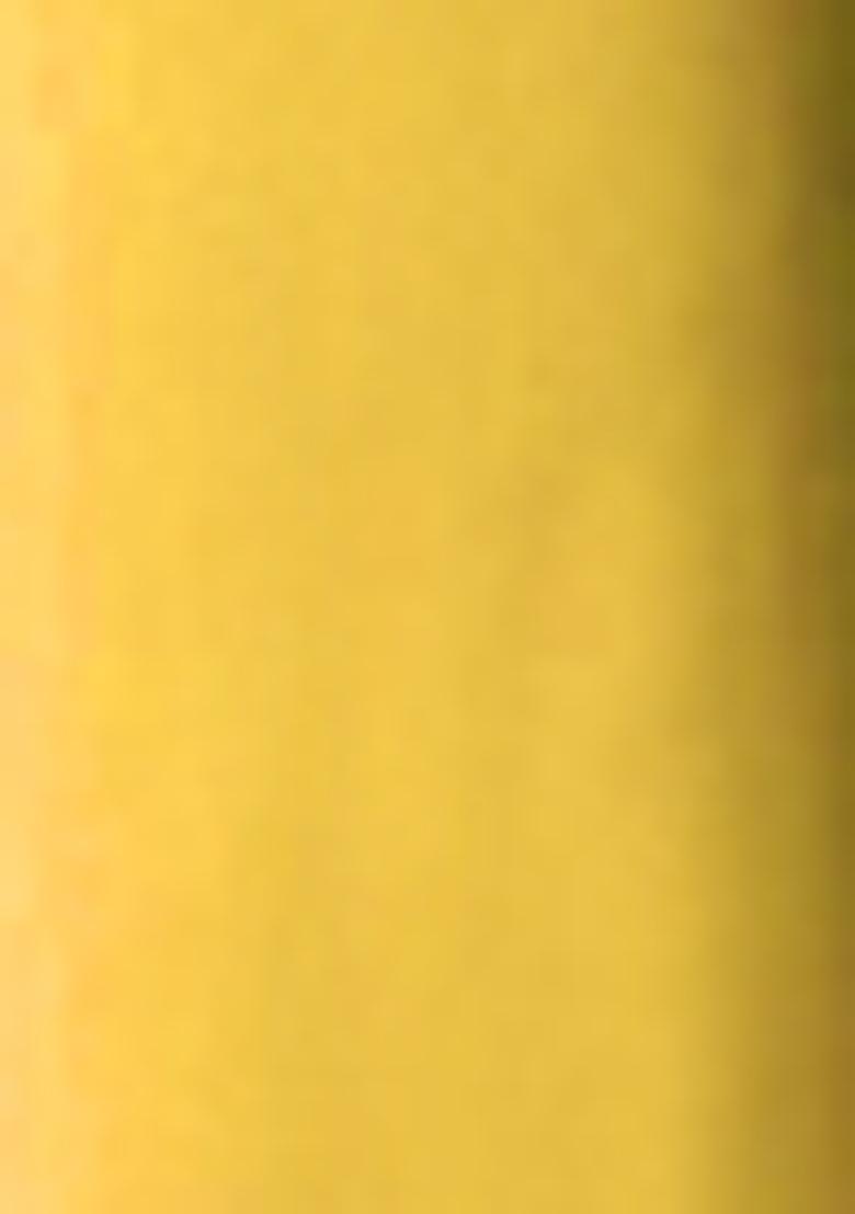 Yellow Pre-Stitched Saree Set With Hand Embroidered Blouse