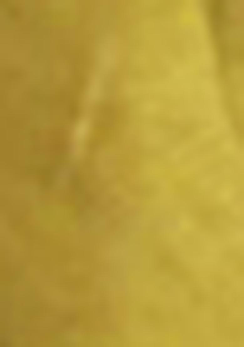 Lime Green Pre-Stitched Saree Set With Hand Embroidered Blouse