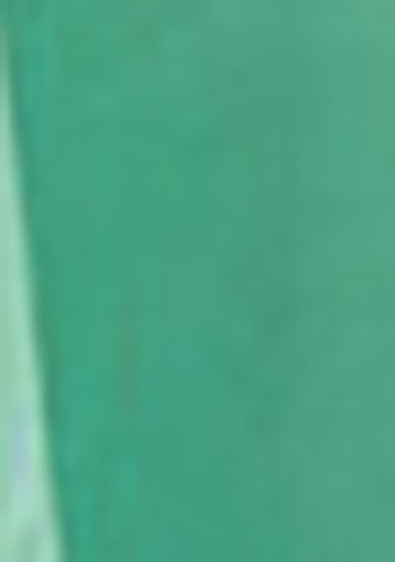 Green Pre-Stitched Saree Set With Hand Embroidered Blouse