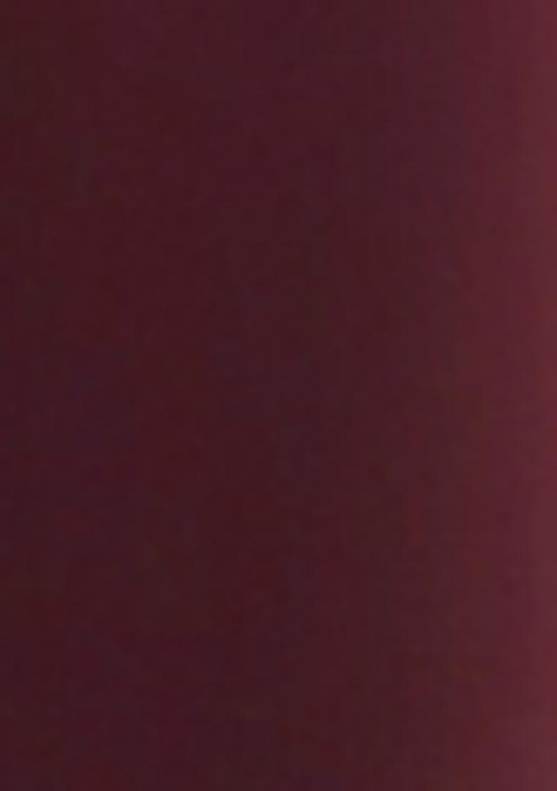 Brick Red Pre-Stitched Saree Set With Hand Embroidered Blouse