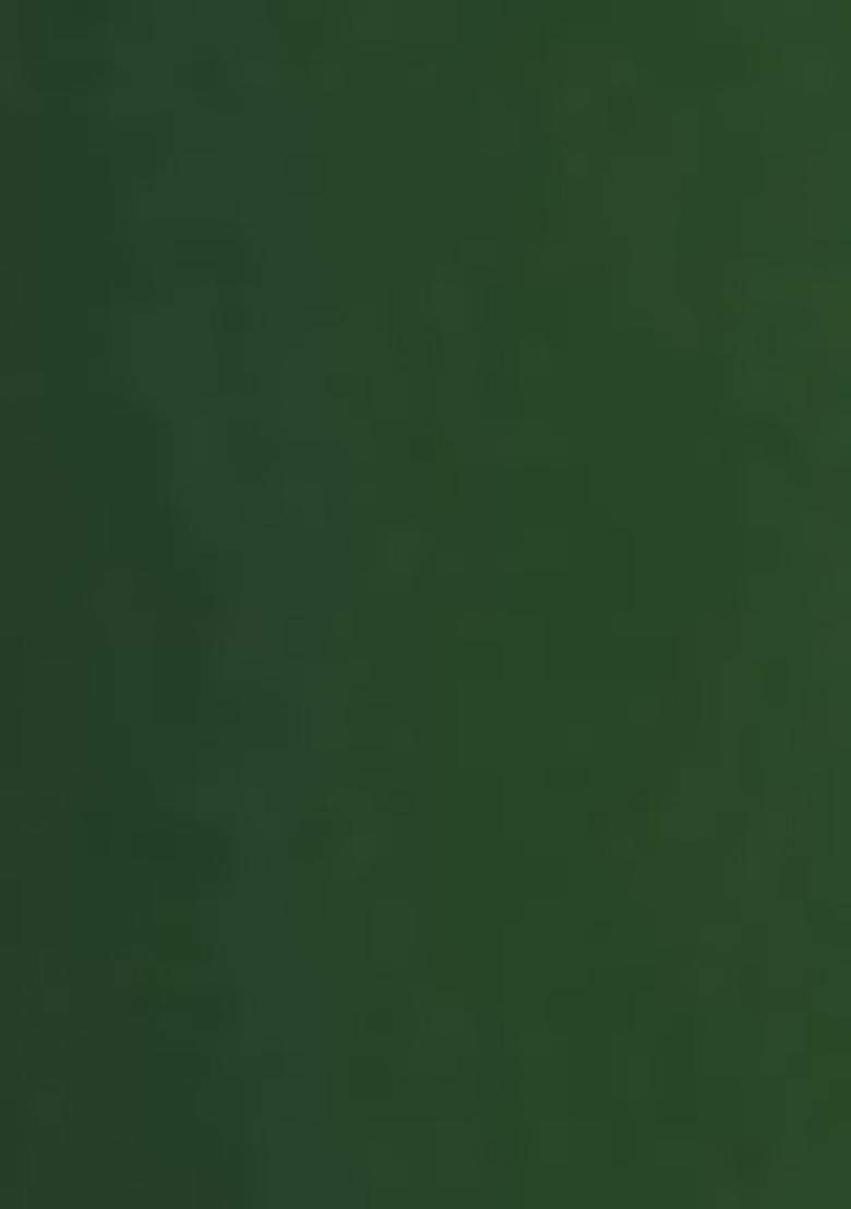 Green Pre-Stitched Saree Set With Hand Embroidered Blouse