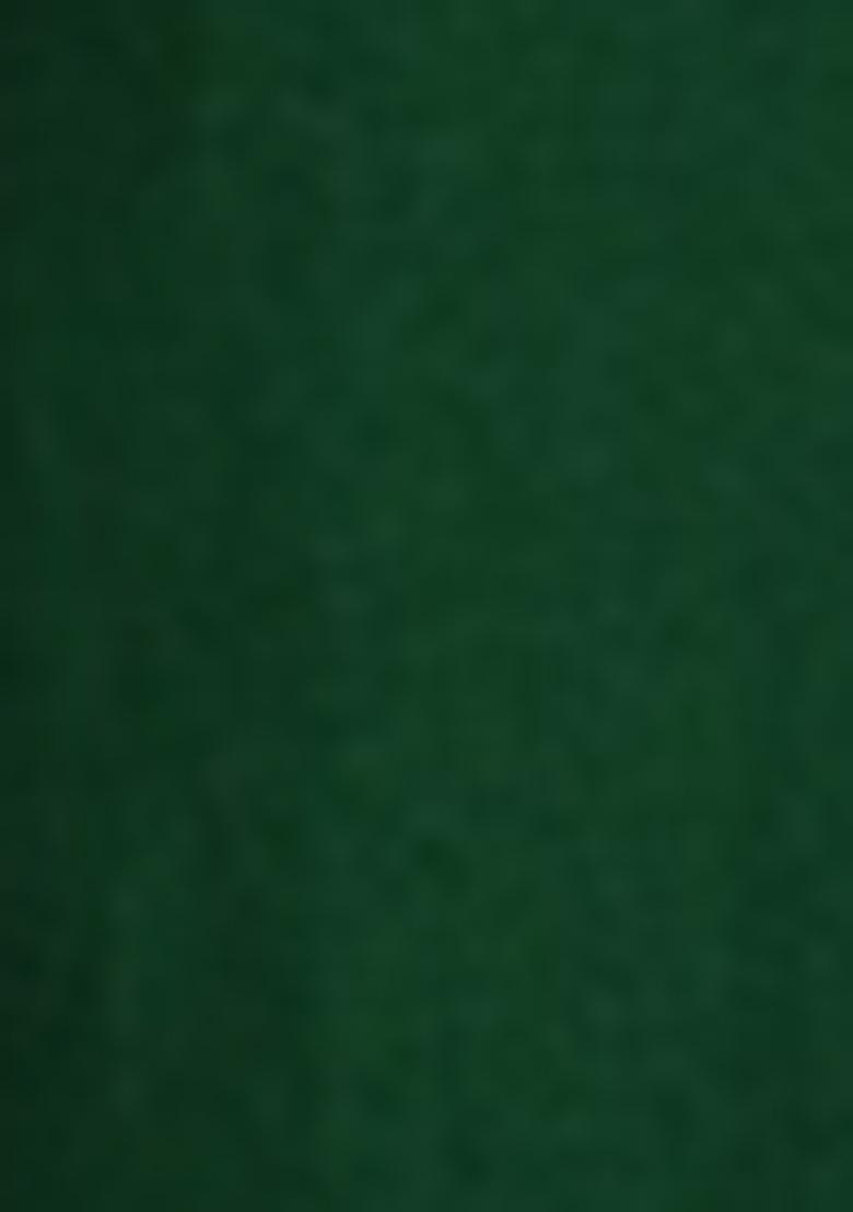 Green Pre-Stitched Saree Set With Hand Embroidered Blouse