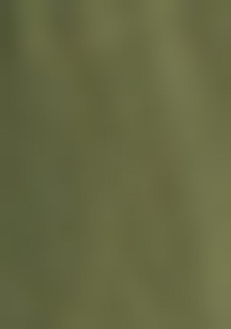 Olive Green Pre-Stitched Saree Set With Hand Embroidered Blouse