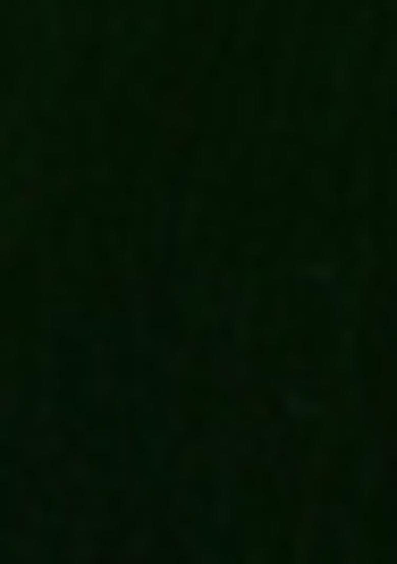 Dark Green Pre-Stitched Saree Set With Hand Embroidered Blouse