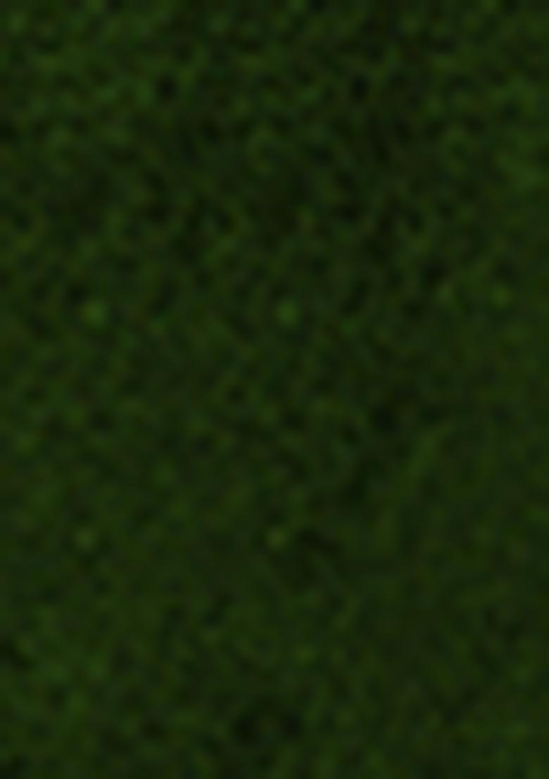 Green Pre-Stitched Saree Set With Hand Embroidered Blouse