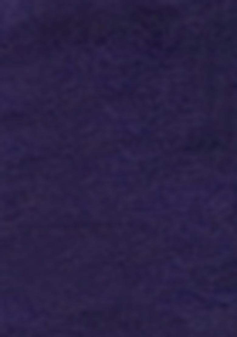 Blue Pre-Stitched Saree Set With Hand Embroidered Blouse