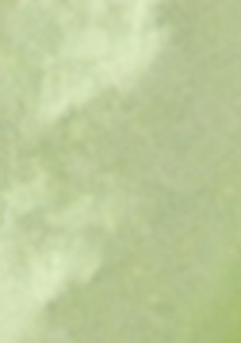 Green Pre-Stitched Saree Set With Hand Embroidered Blouse