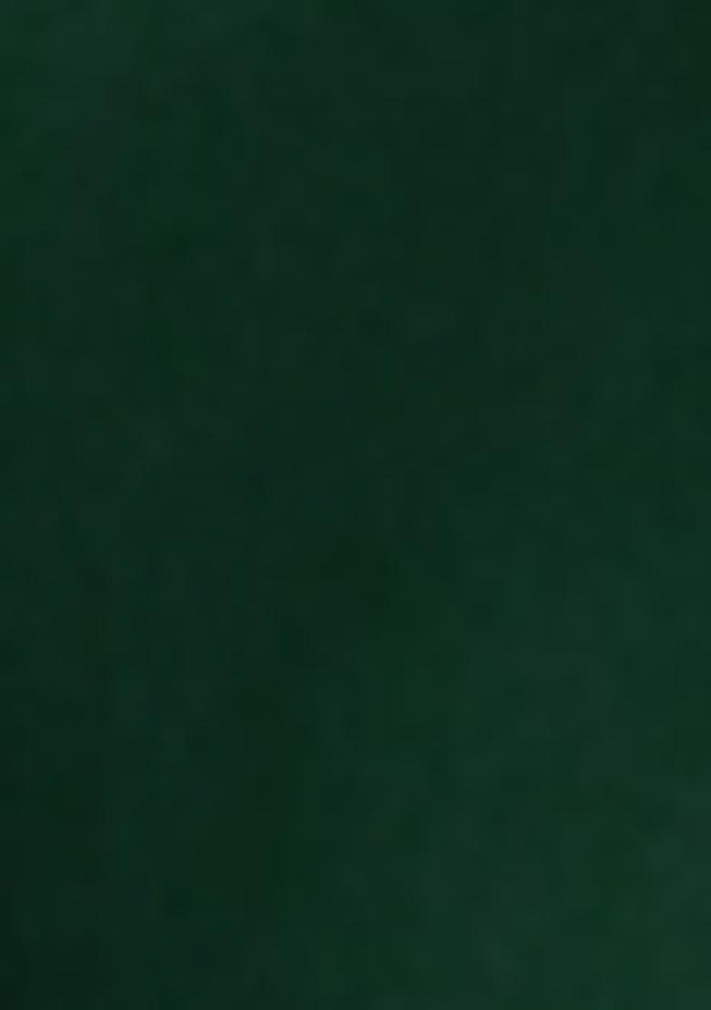 Green Pre-Stitched Saree Set With Hand Embroidered Blouse