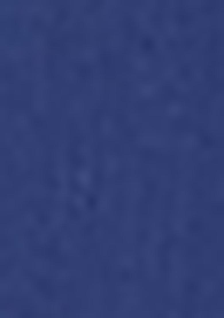 Blue Pre-Stitched Saree Set With Hand Embroidered Blouse