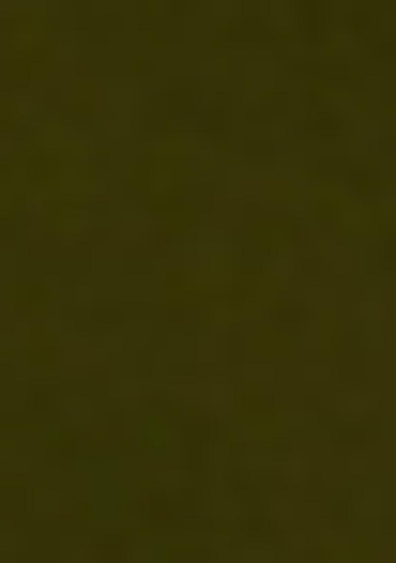 Olive Pre-Stitched Saree Set With Hand Embroidered Blouse