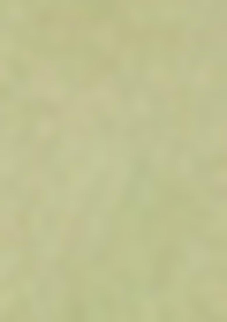 Olive Pre-Stitched Saree Set With Hand Embroidered Blouse