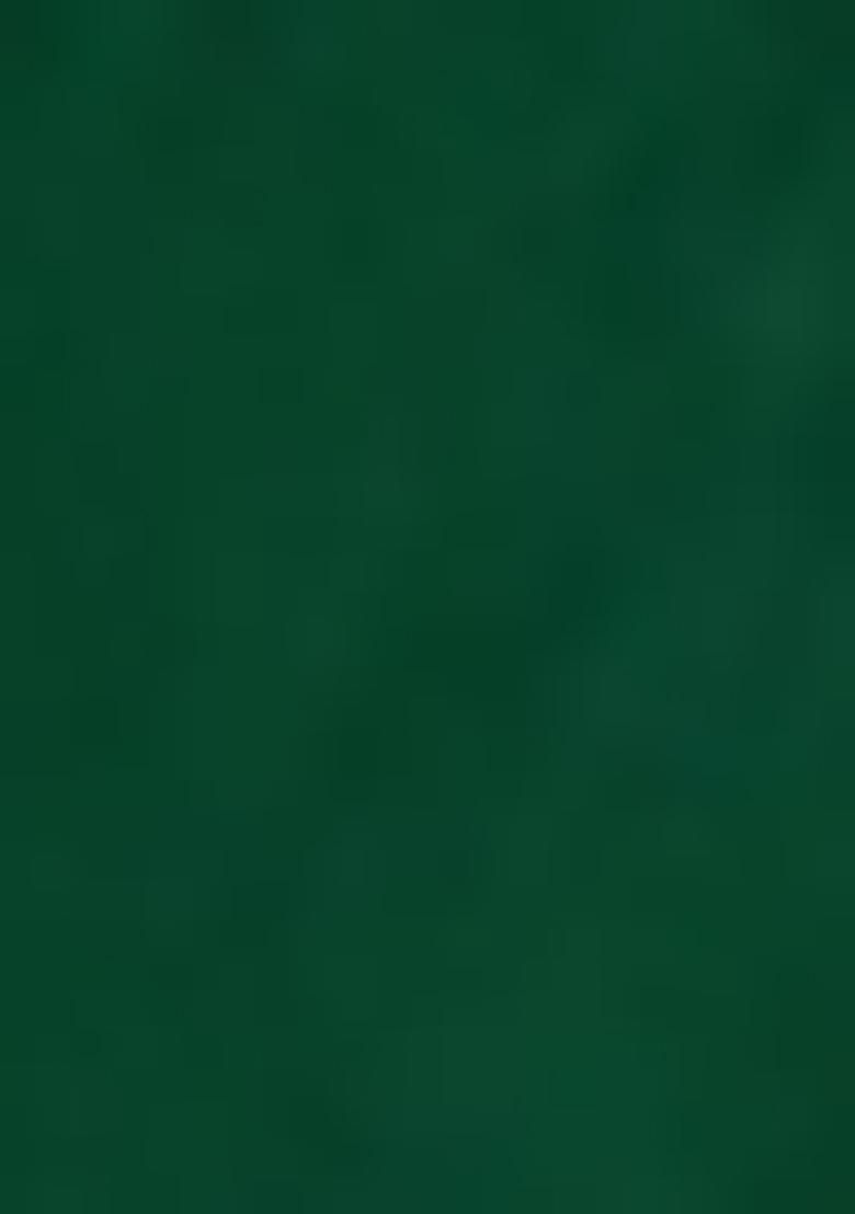 Green Pre-Stitched Saree Set With Hand Embroidered Blouse