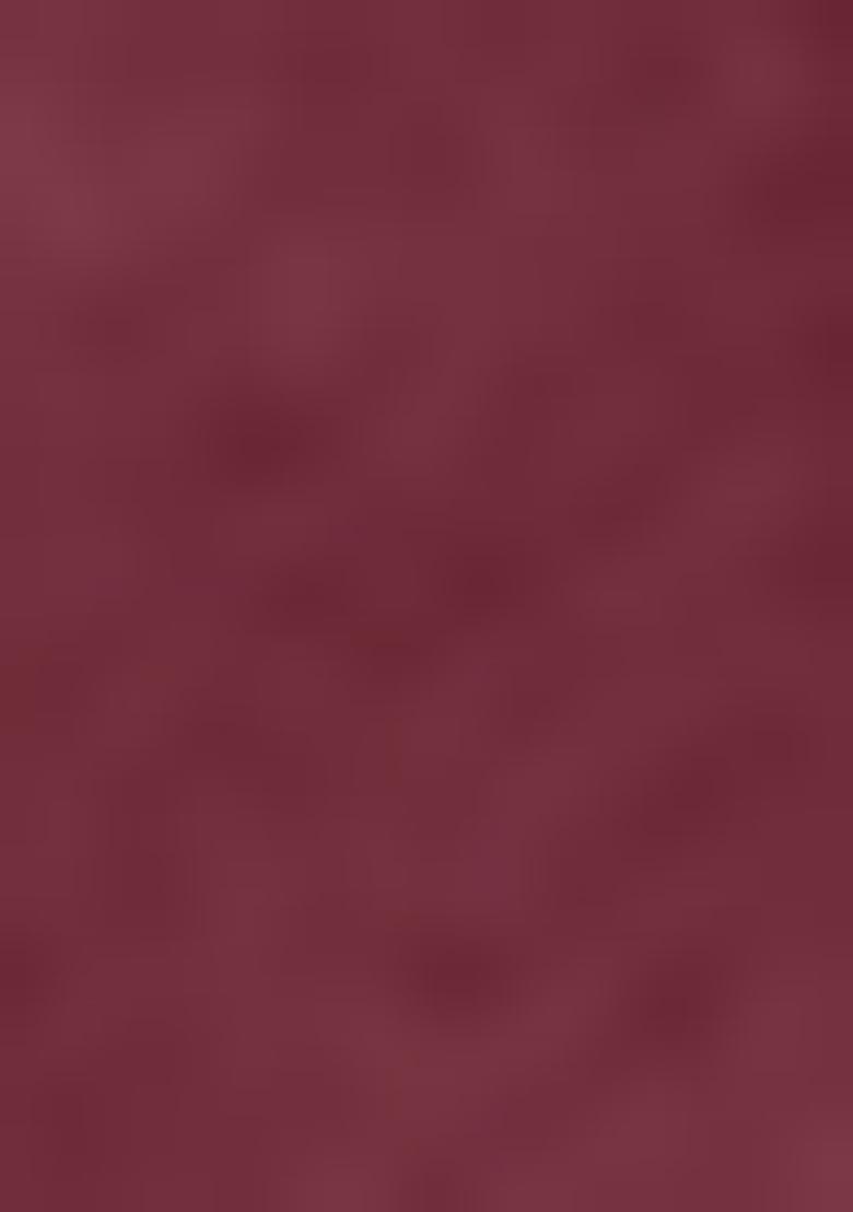 Burgendy Pre-Stitched Saree Set With Hand Embroidered Blouse