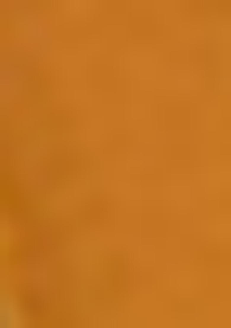 Mustard Pre-Stitched Saree Set With Hand Embroidered Blouse