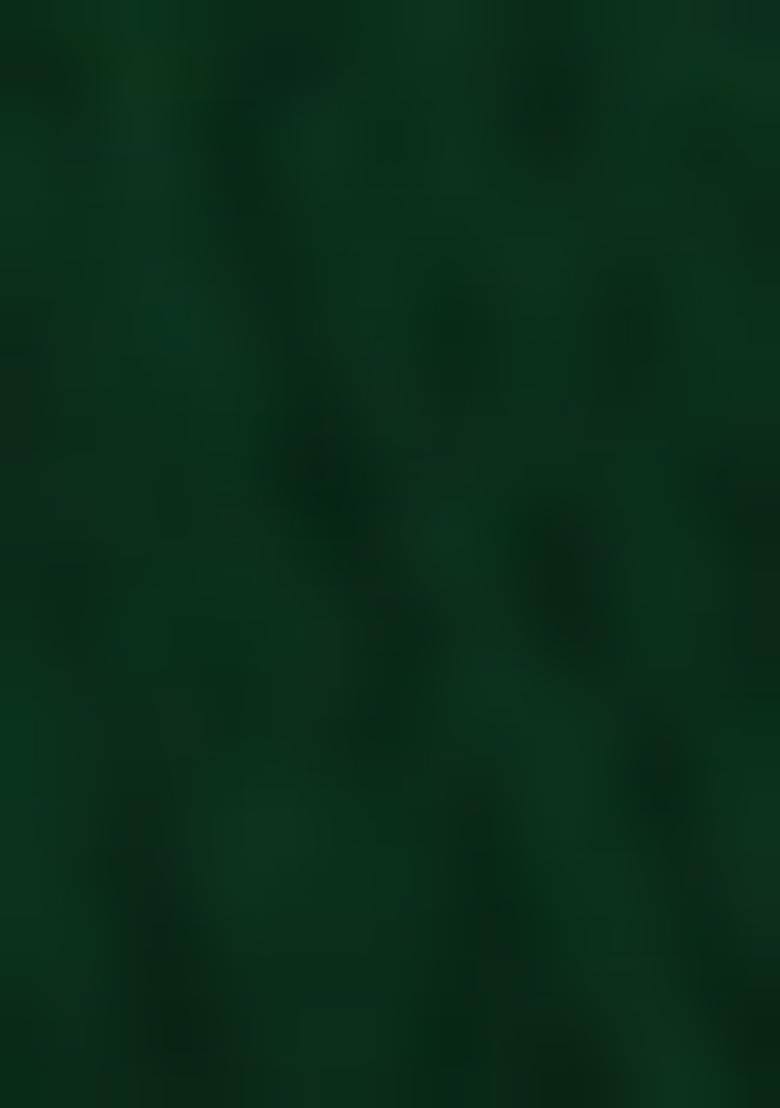 Dark Green Pre-Stitched Saree Set With Hand Embroidered Blouse