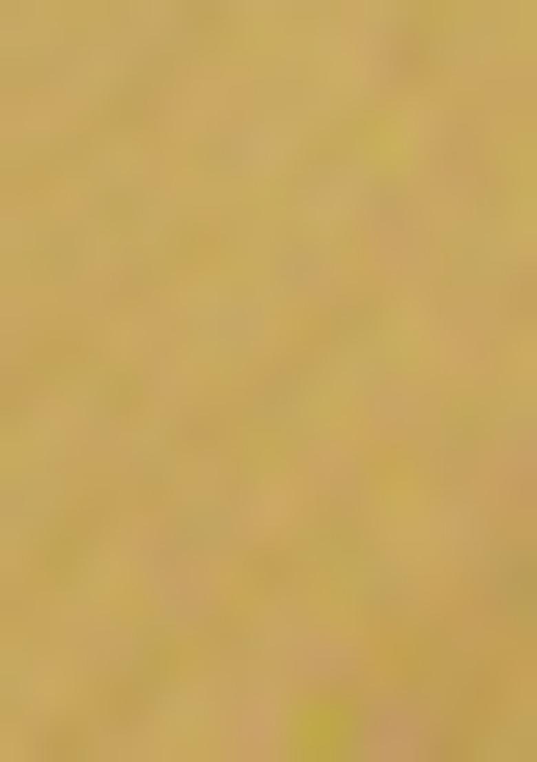 Light Yellow Pre-Stitched Saree Set With Hand Embroidered Blouse