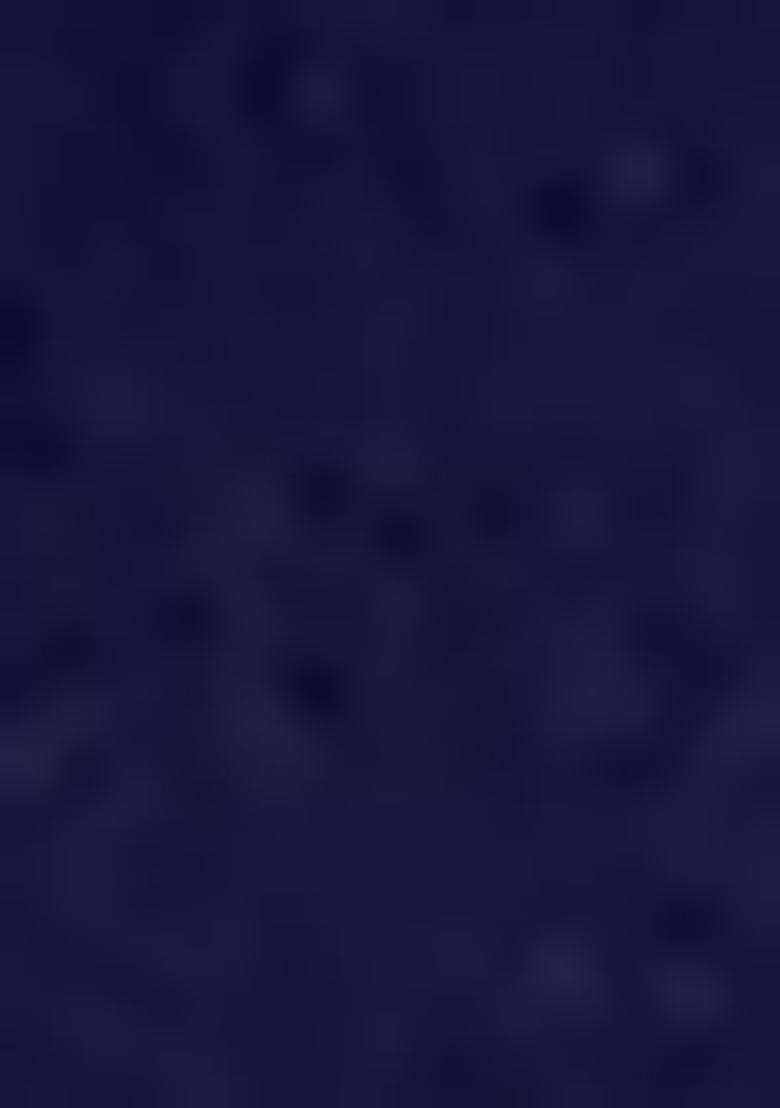 Indigo Pre-Stitched Saree Set With Hand Embroidered Blouse