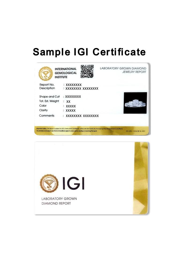 14Kt White Gold Lab Grown Diamond 0.66 Carat Heart Halo Stud Earrings For Women