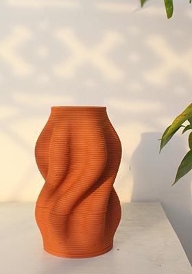 Multi Curvy Tales Vase