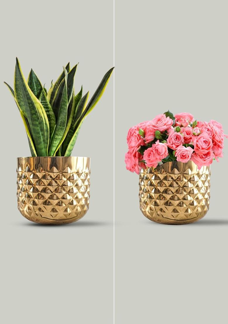 Gold Metal Pineapple Design Planter