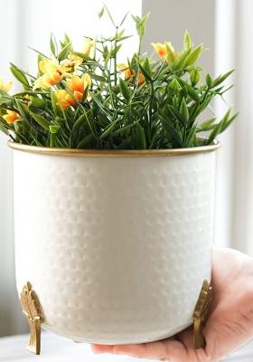 White Metal Gold Rim Leaf Leg Planter (Set Of 2)