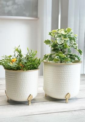White Metal Gold Rim Leaf Leg Planter (Set Of 2)