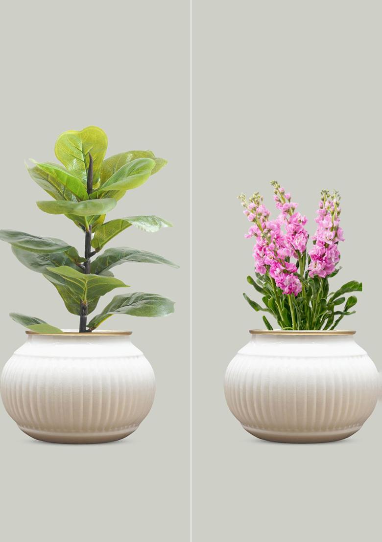 White Matki Metal Planter White Traditional Accent