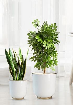 White Floor Metal Planter Modern Look (Set Of 2)