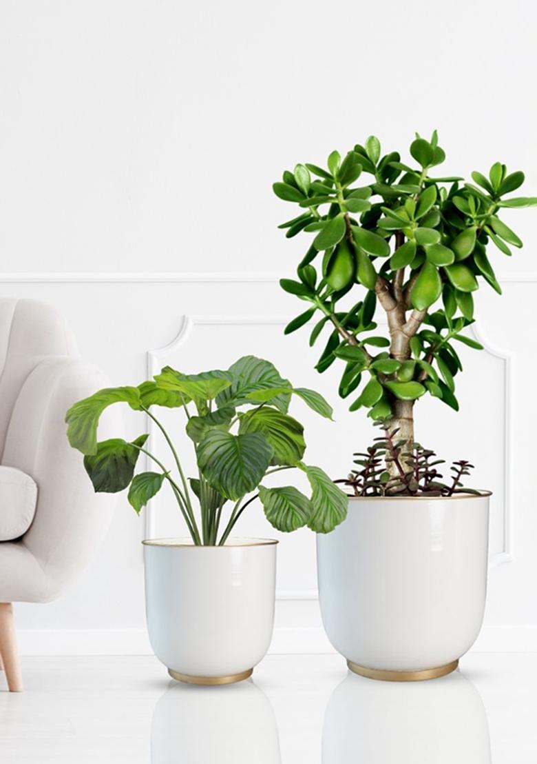 White Floor Metal Planter Modern Look (Set Of 2)