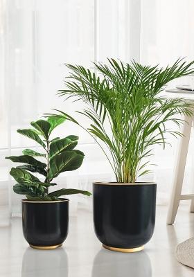 Black Floor Metal Planters Premium Finish (Set Of 2)