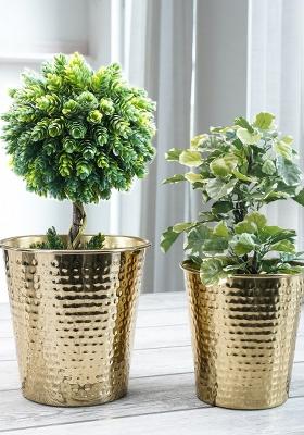 Gold Bucket Metal Planter(Set Of 2)