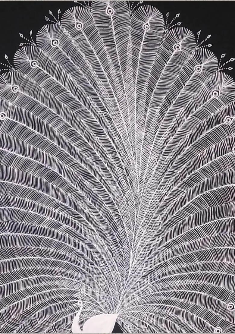 Peacock Warli Painting Graceful Symbol of Beauty and Tradition