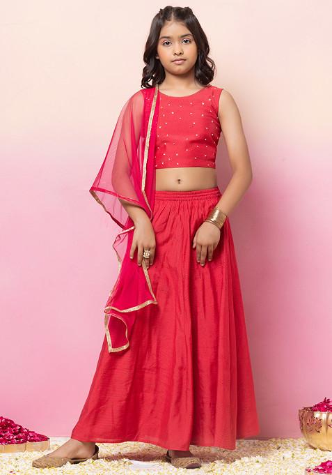Dark Pink Lehenga With Embroidered Blouse And Mesh Dupatta (Set of 3)