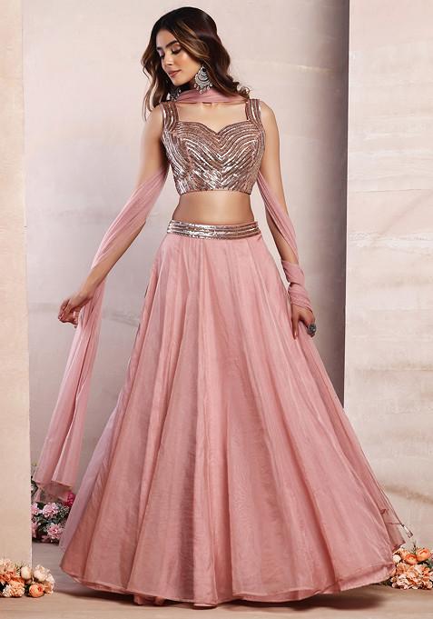 Blush Pink Organza Lehenga Set With Sequin Hand Embroidered Blouse And Mesh Dupatta