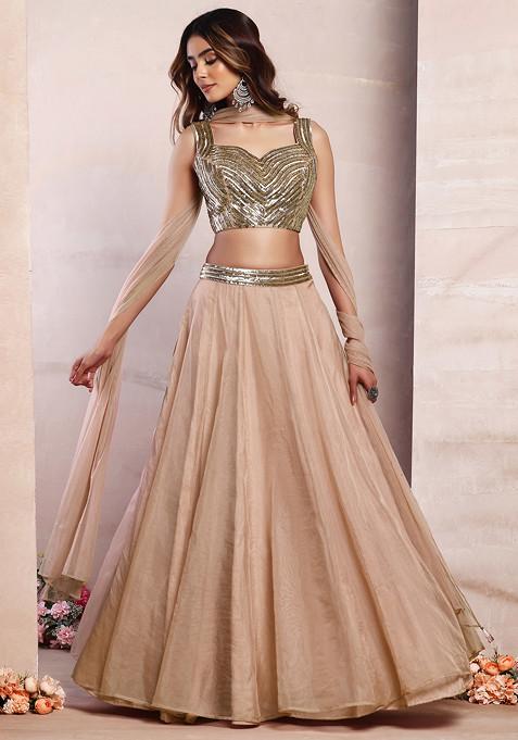 Beige Organza Lehenga Set With Sequin Hand Embroidered Blouse And Mesh Dupatta