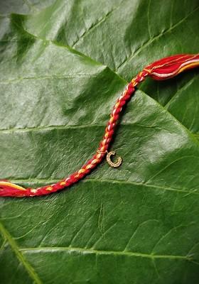 Men Gold Plated White Ad Studded C Alphabet Customized Thread Rakhi