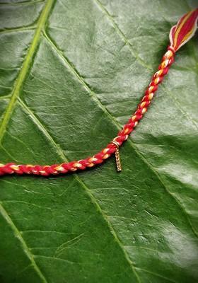 Unisex Gold Plated Red Ad Studded I Alphabet Customized Thread Rakhi