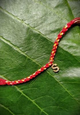 Men Gold Plated Red And White Ad Studded Letter S Rakhi