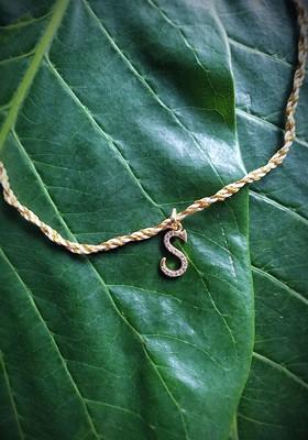 Men Gold Plated And White Ad Studded Letter S Customized Thread Rakhi