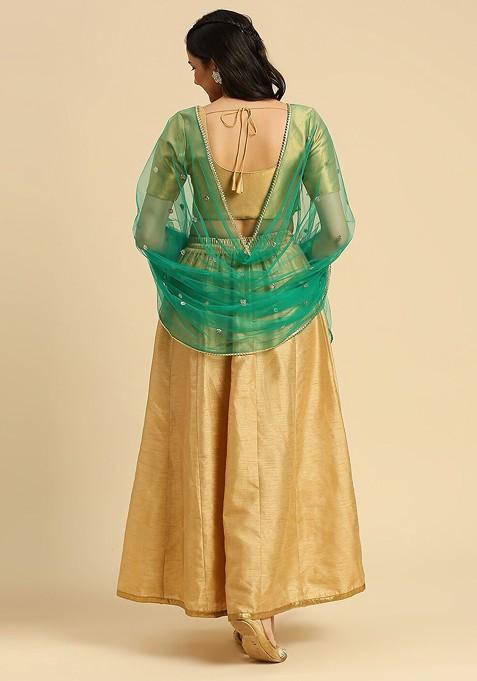 Embellished Sequinned Net Dupatta