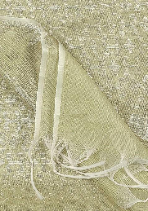 Green And Silver Toned Ethnic Motifs Woven Design Banarasi Dupatta