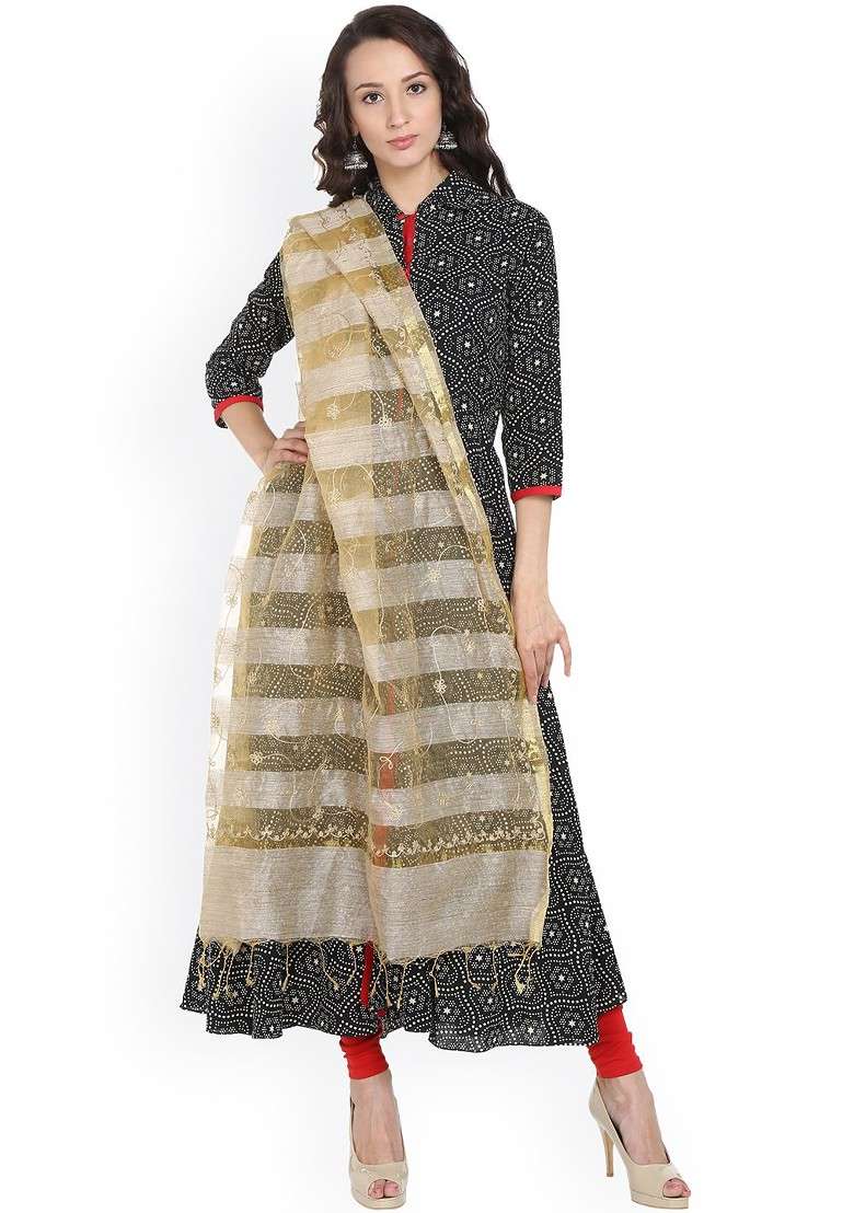 Beige Embroidered Striped Dupatta - Indya