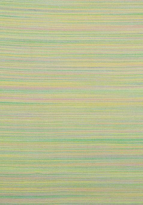 Women Striped Stole With Fringed Border